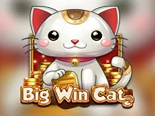 Alphaslot88 Big Win Cat